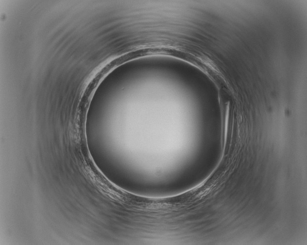 X0000054361068200507291016