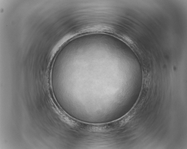 X0000054361086200507291015