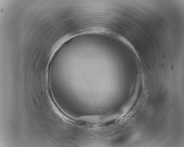 X0000054361099200507291015