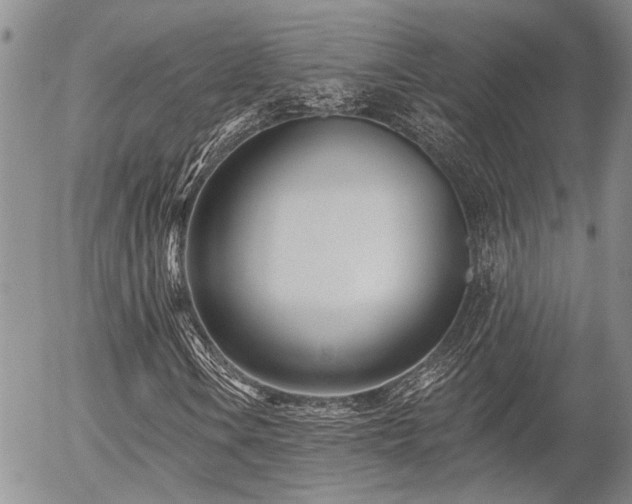 X0000054361106200507291014