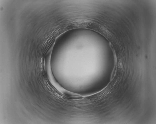 X0000054361108200507291014