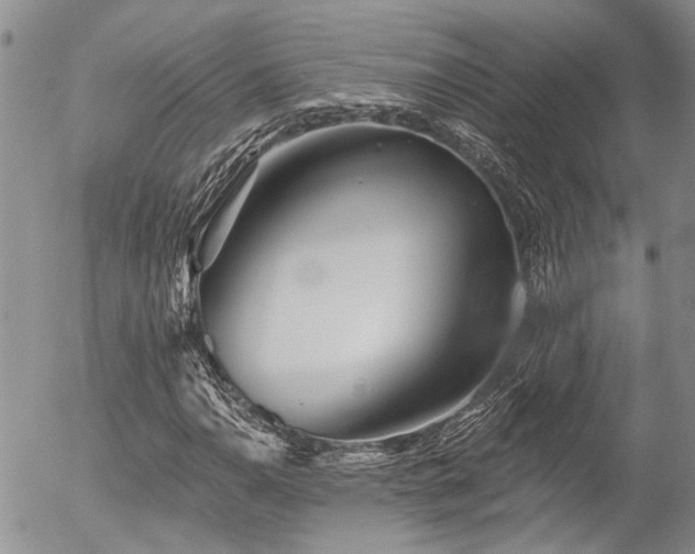 X0000054361110200507291014