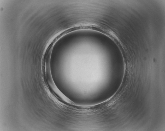X0000054361124200507291014