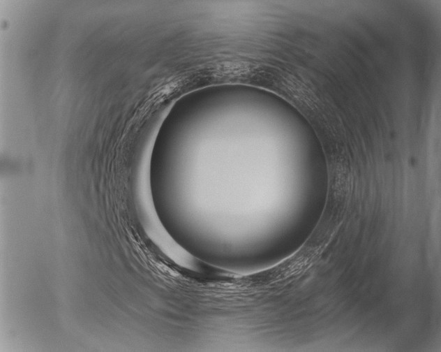 X0000054361153200507291014