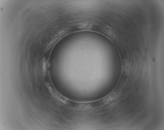 X0000054361154200507291014