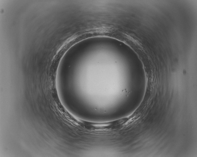 X0000054361160200507291014