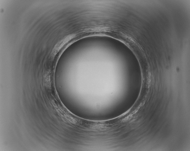 X0000054361162200507291014