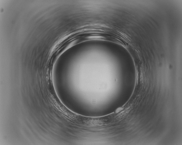 X0000054361164200507291014