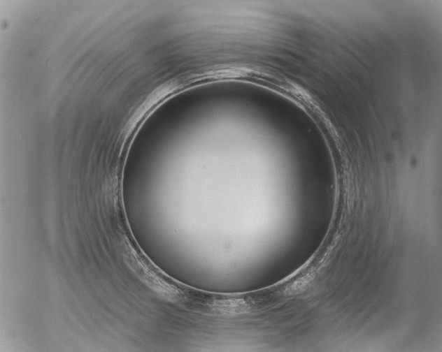 X0000054361186200507291014