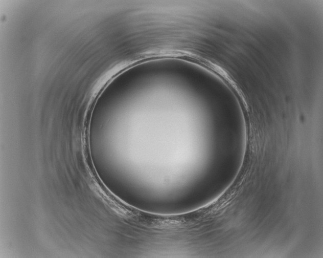 X0000054361187200507291014