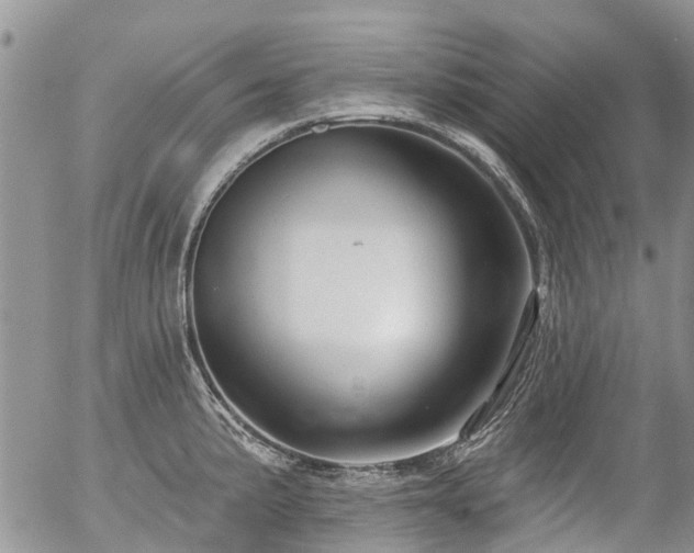X0000054361191200507291013
