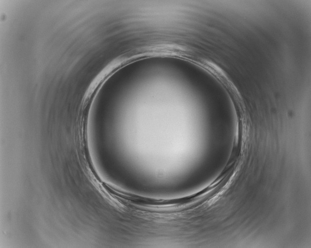 X0000054361196200507291013