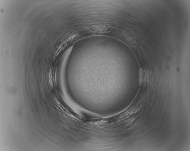 X0000054361202200507291013