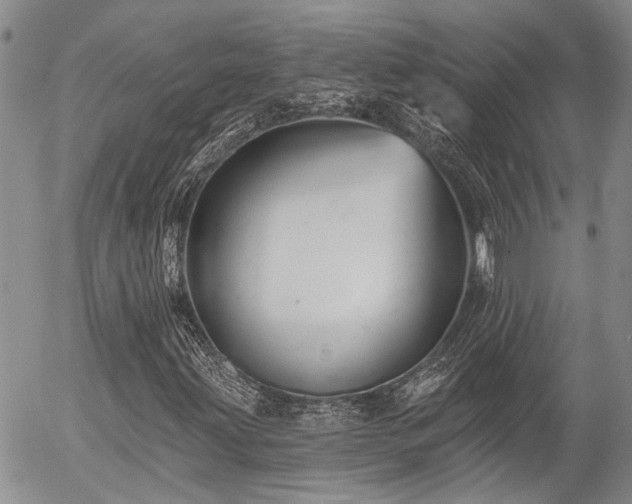 X0000054361203200507291013