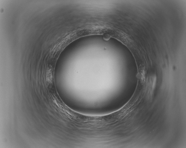 X0000054361204200507291013