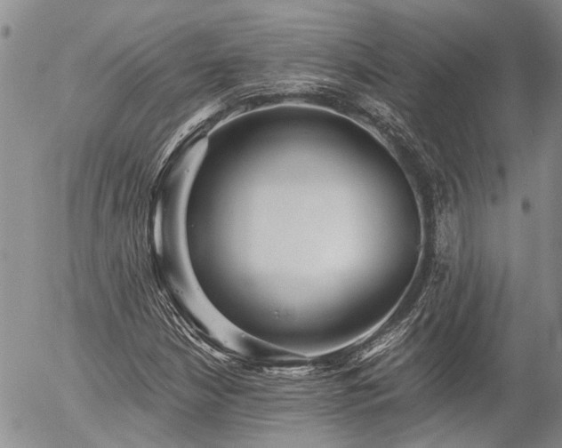 X0000054361210200507291013