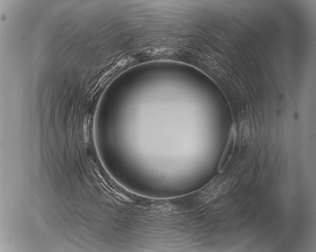 X0000054361250200507291012