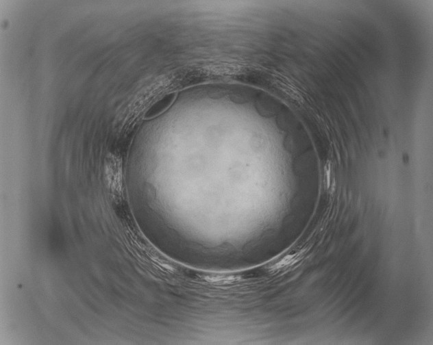 X0000054361251200507291012