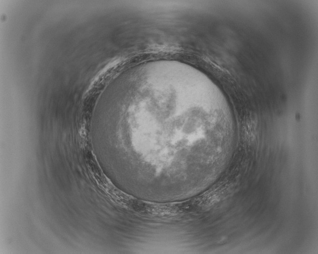 X0000054361254200507291012
