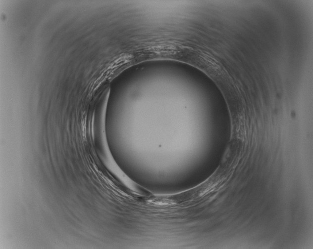 X0000054361298200507291011