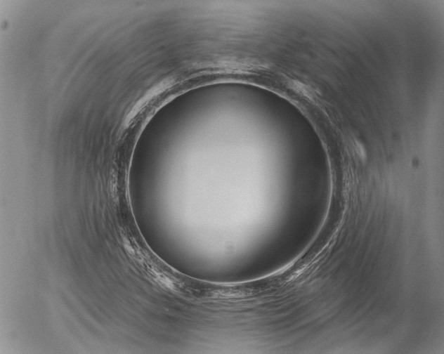 X0000054361307200507291011
