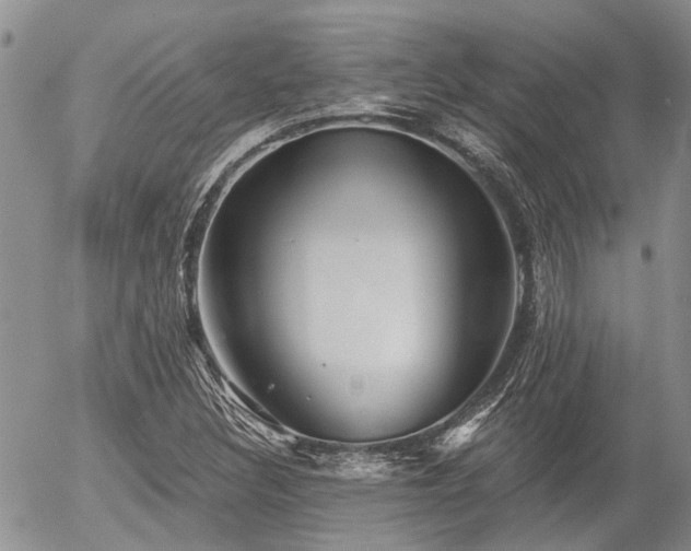 X0000054361308200507291011