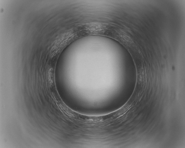 X0000054361346200507291011