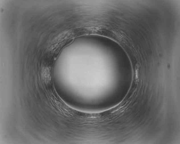 X0000054361347200507291011