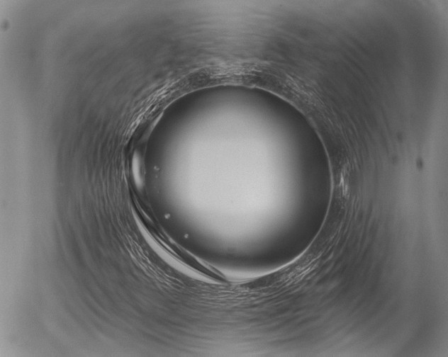 X0000054361348200507291011