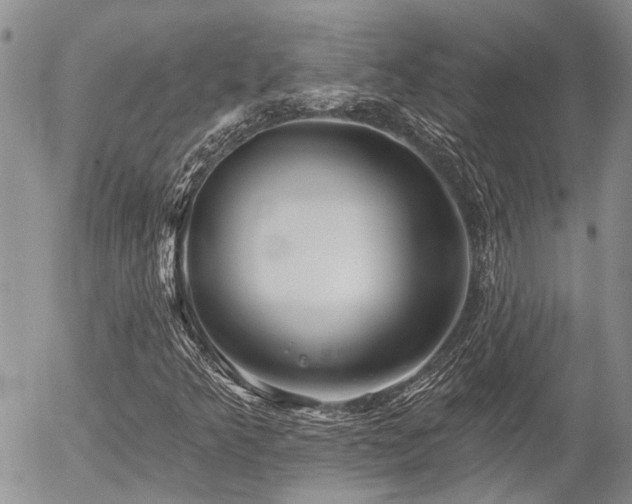 X0000054361349200507291011