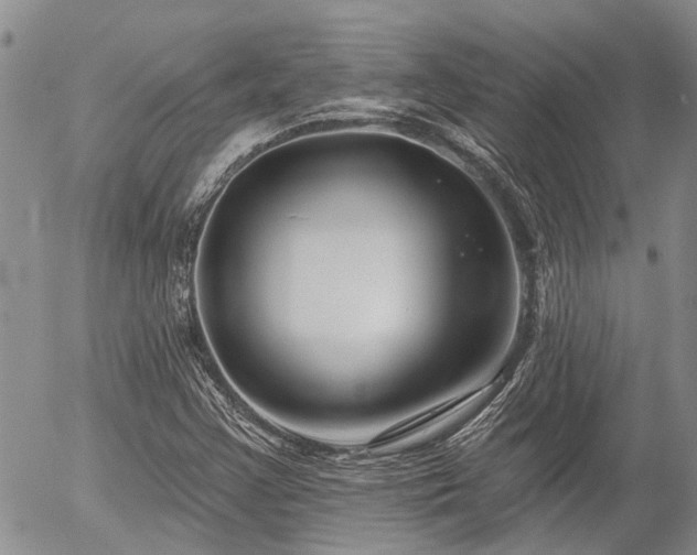 X0000054361355200507291011