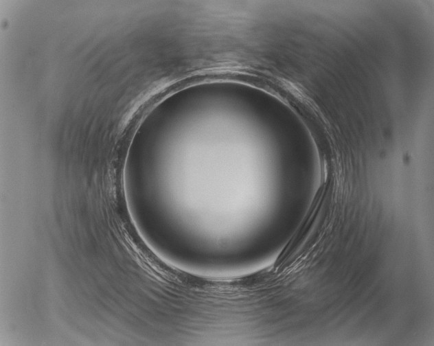 X0000054361356200507291011