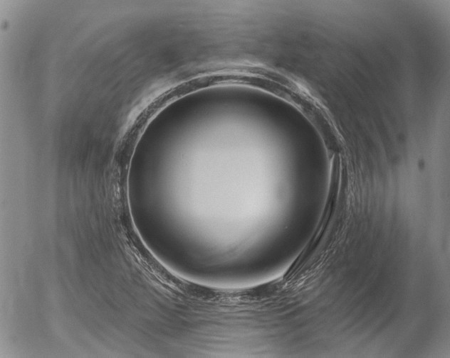 X0000054361360200507291011