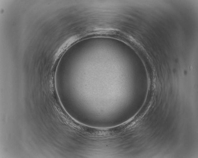 X0000054361362200507291011