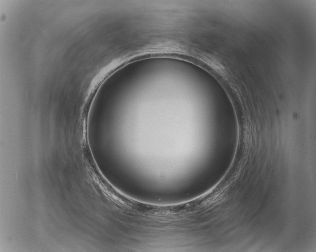 X0000054361366200507291011