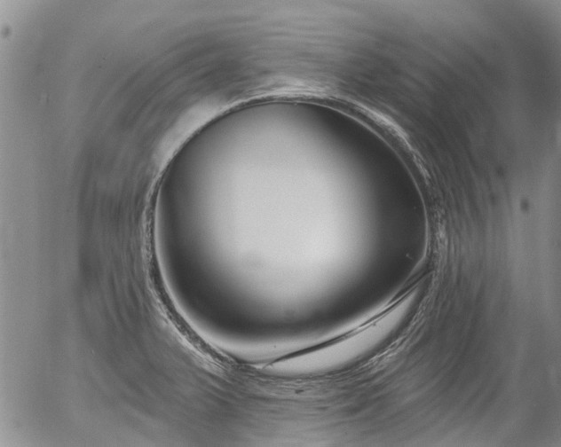 X0000054361375200507291010