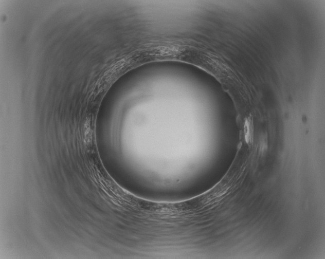 X0000054361395200507291009