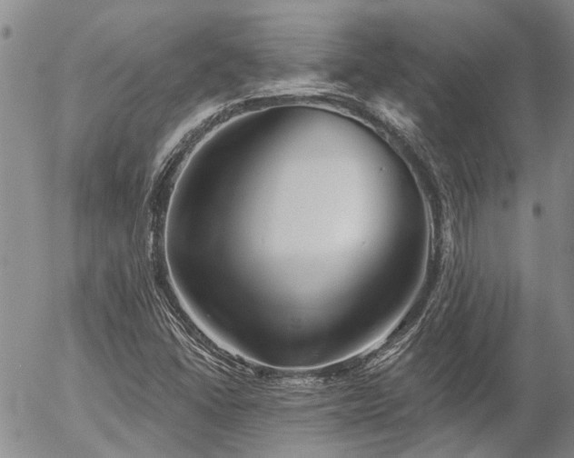 X0000054361406200507291010
