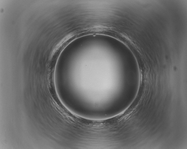 X0000054361410200507291010