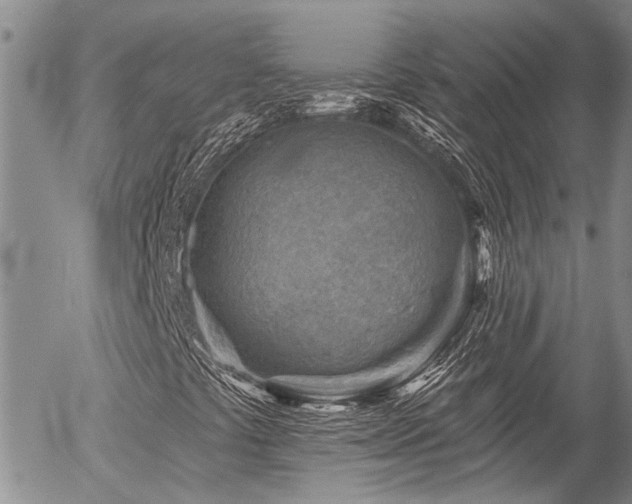 X0000054361441200507291009