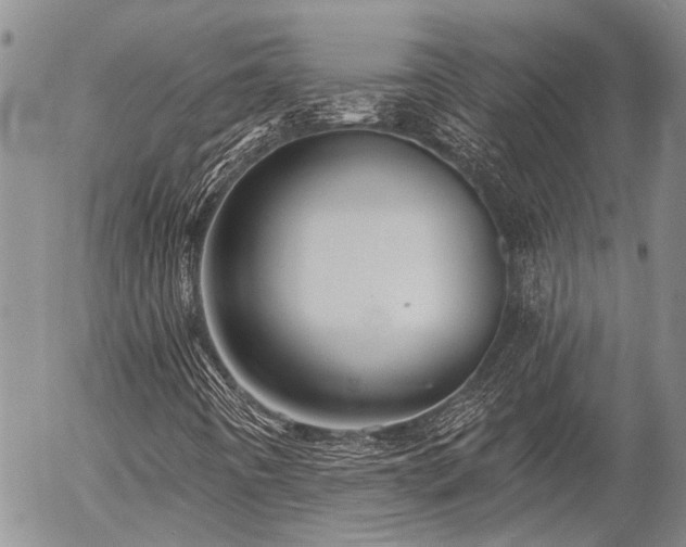 X0000054361442200507291009