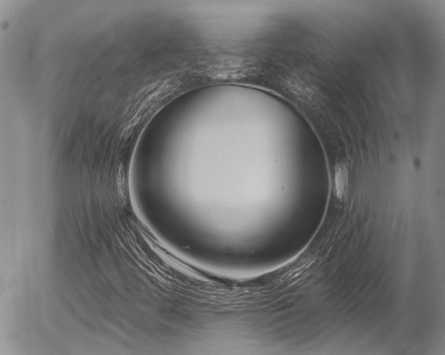 X0000054361444200507291009