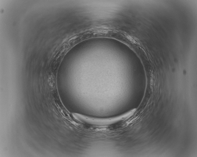 X0000054361445200507291009