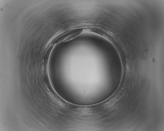 X0000054361450200507291009