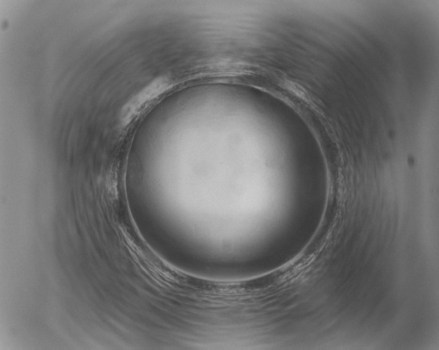 X0000054361451200507291009