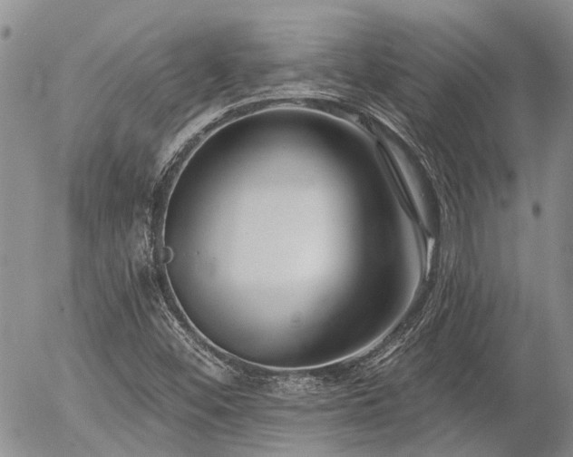 X0000054361452200507291009