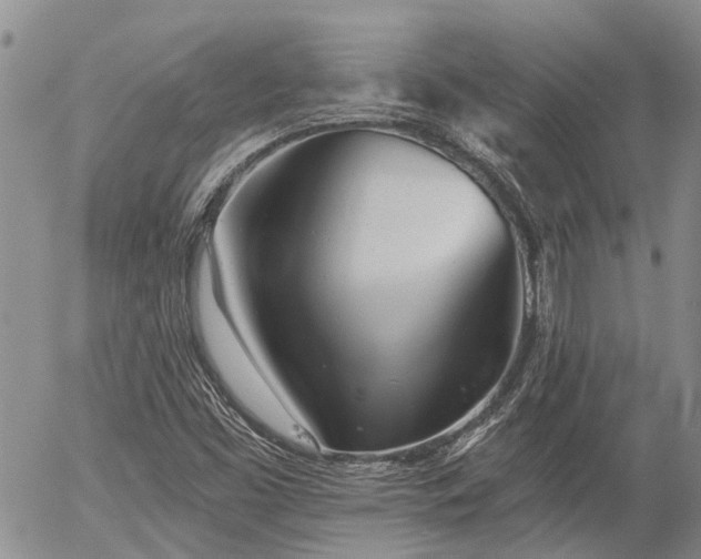 X0000054361453200507291009