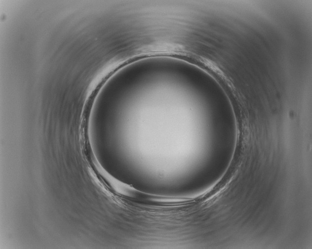 X0000054361469200507291009
