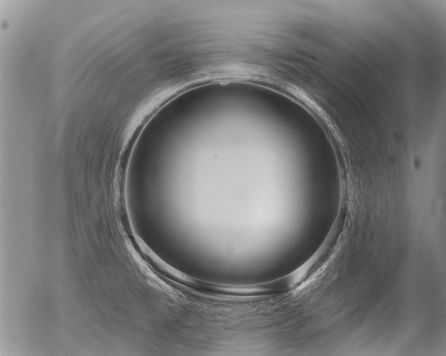 X0000054361477200507291009