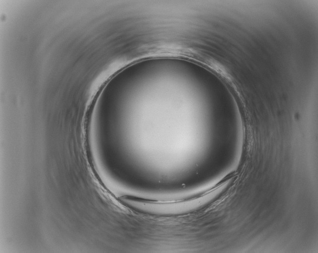 X0000054361480200507291009